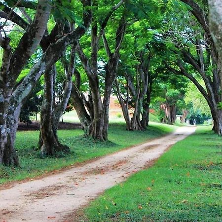 Idle & Wild Chalet Hazyview Ngoại thất bức ảnh