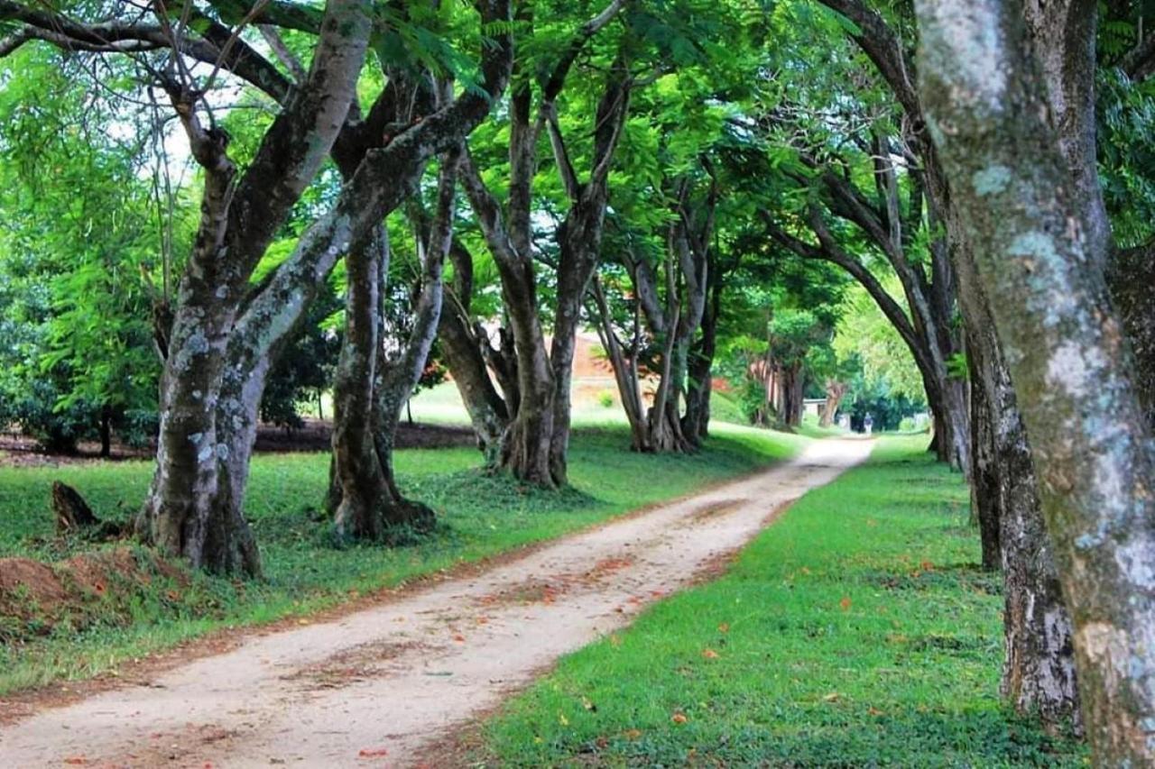 Idle & Wild Chalet Hazyview Ngoại thất bức ảnh