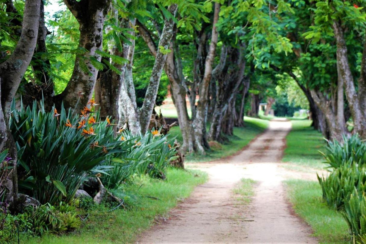 Idle & Wild Chalet Hazyview Ngoại thất bức ảnh