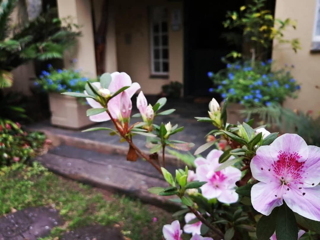 Idle & Wild Chalet Hazyview Ngoại thất bức ảnh