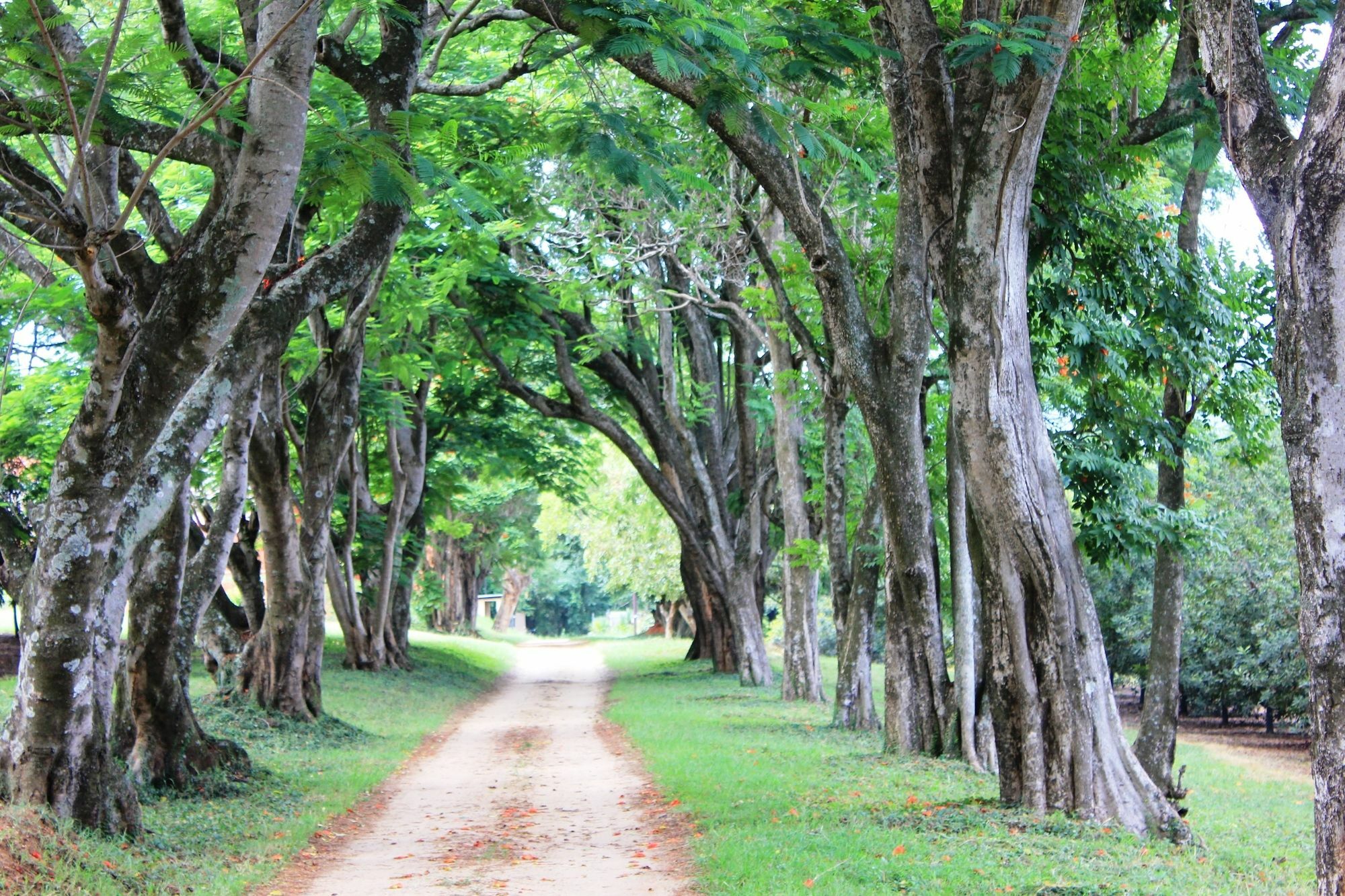 Idle & Wild Chalet Hazyview Ngoại thất bức ảnh